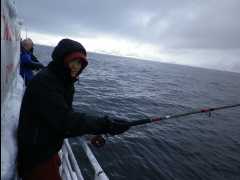 Cod Fishing28
